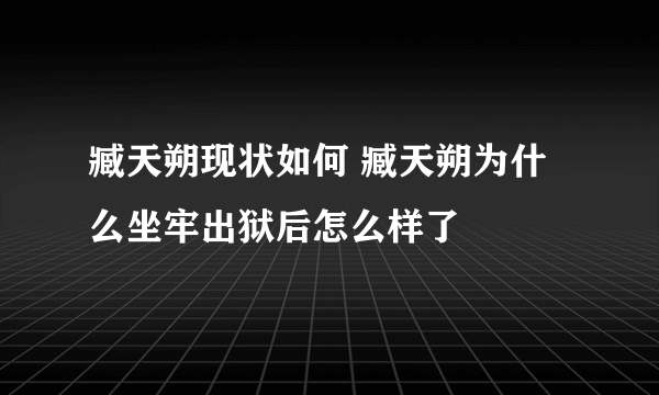 臧天朔现状如何 臧天朔为什么坐牢出狱后怎么样了