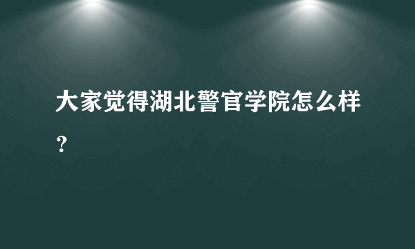 大家觉得湖北警官学院怎么样？