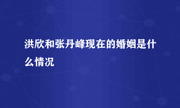 洪欣和张丹峰现在的婚姻是什么情况