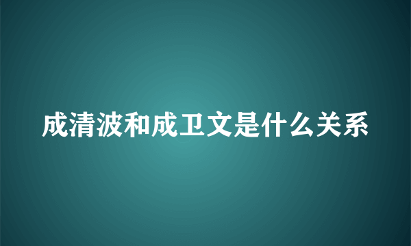 成清波和成卫文是什么关系