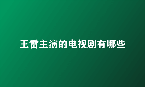 王雷主演的电视剧有哪些