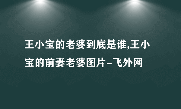 王小宝的老婆到底是谁,王小宝的前妻老婆图片-飞外网