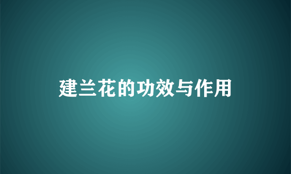 建兰花的功效与作用