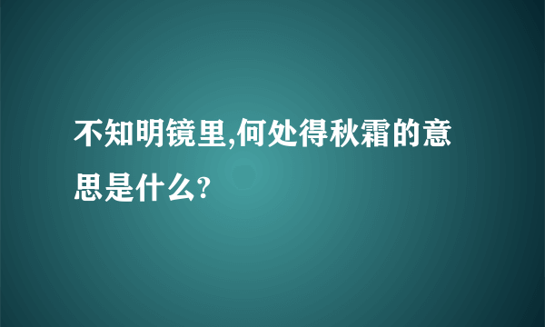 不知明镜里,何处得秋霜的意思是什么?