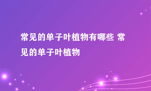 常见的单子叶植物有哪些 常见的单子叶植物