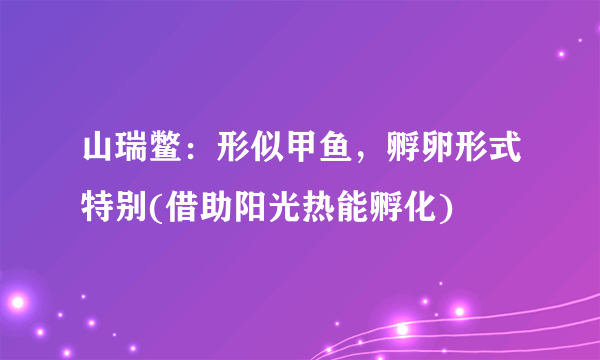 山瑞鳖：形似甲鱼，孵卵形式特别(借助阳光热能孵化)