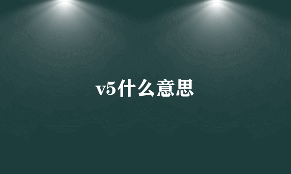 v5什么意思