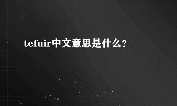 tefuir中文意思是什么？