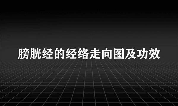 膀胱经的经络走向图及功效