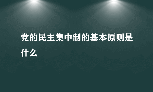 党的民主集中制的基本原则是什么