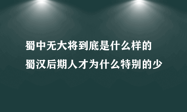 蜀中无大将到底是什么样的 蜀汉后期人才为什么特别的少