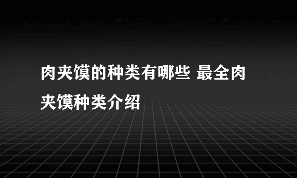 肉夹馍的种类有哪些 最全肉夹馍种类介绍