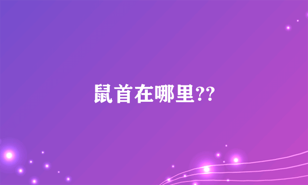 鼠首在哪里??