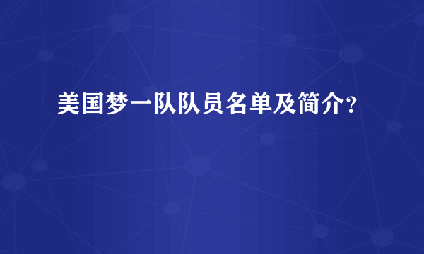 美国梦一队队员名单及简介？