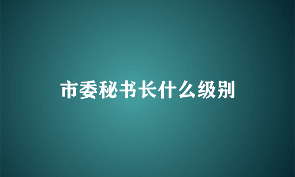 市委秘书长什么级别