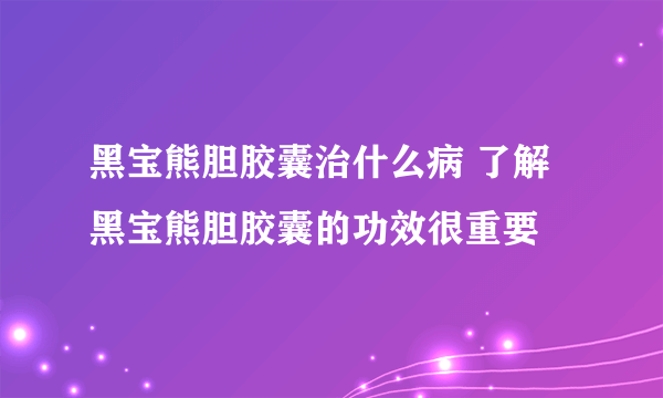 黑宝熊胆胶囊治什么病 了解黑宝熊胆胶囊的功效很重要