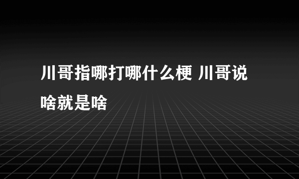 川哥指哪打哪什么梗 川哥说啥就是啥