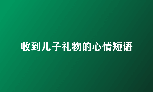 收到儿子礼物的心情短语