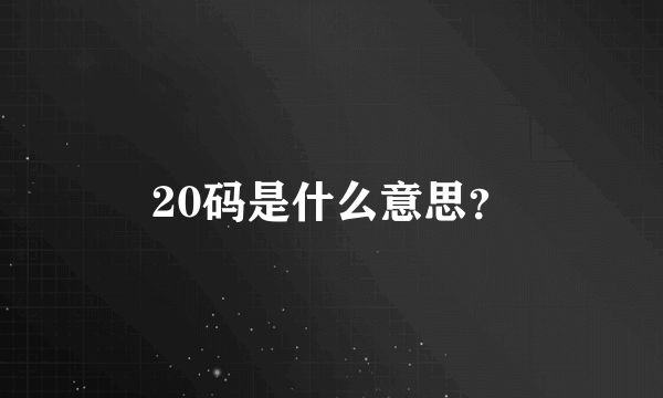 20码是什么意思？