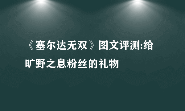 《塞尔达无双》图文评测:给旷野之息粉丝的礼物