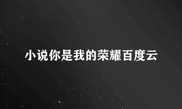 小说你是我的荣耀百度云