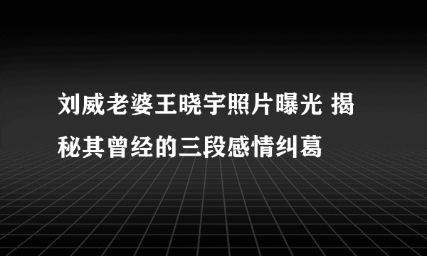 刘威老婆王晓宇照片曝光 揭秘其曾经的三段感情纠葛