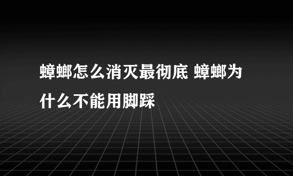 蟑螂怎么消灭最彻底 蟑螂为什么不能用脚踩