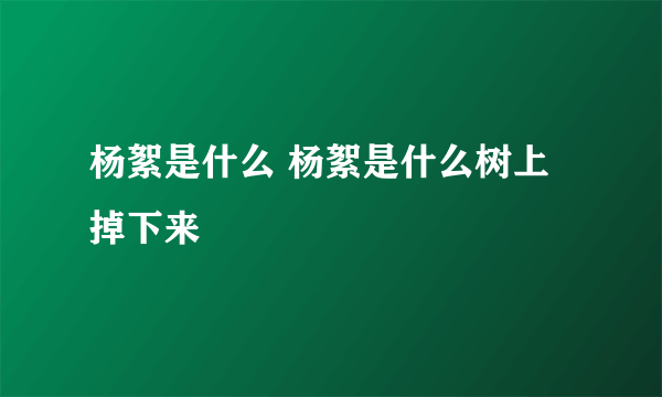 杨絮是什么 杨絮是什么树上掉下来