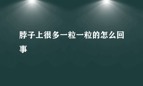 脖子上很多一粒一粒的怎么回事