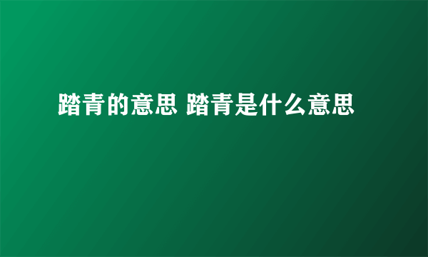 踏青的意思 踏青是什么意思