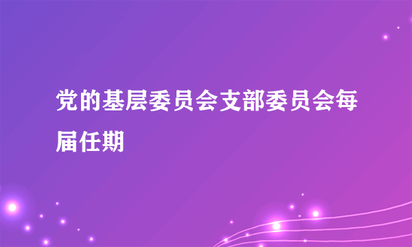 党的基层委员会支部委员会每届任期