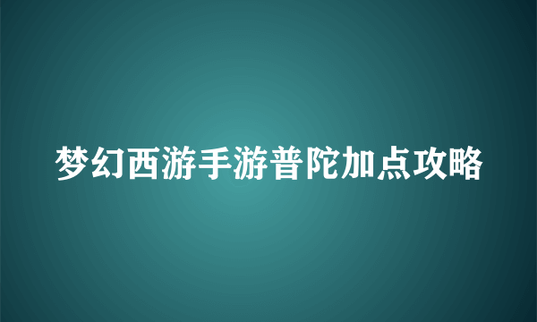 梦幻西游手游普陀加点攻略