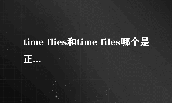 time flies和time files哪个是正确的？为什么？