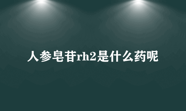 人参皂苷rh2是什么药呢