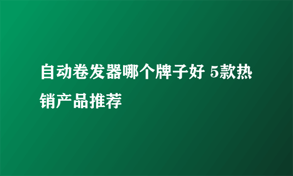 自动卷发器哪个牌子好 5款热销产品推荐