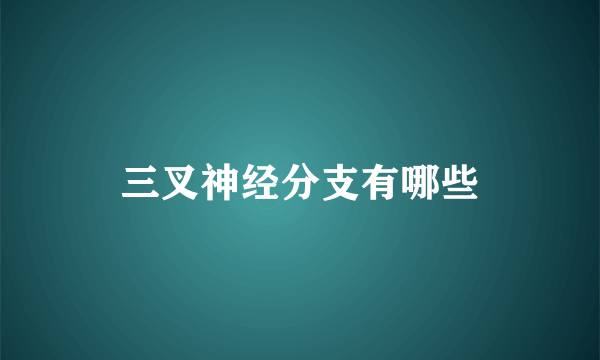 三叉神经分支有哪些