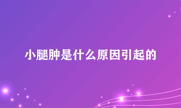 小腿肿是什么原因引起的