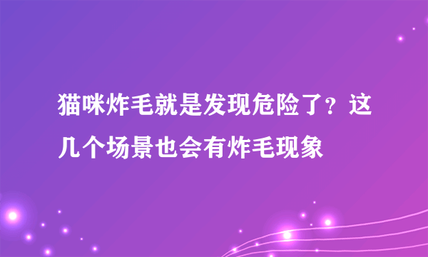 猫咪炸毛就是发现危险了？这几个场景也会有炸毛现象