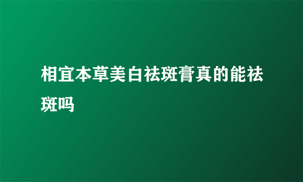 相宜本草美白祛斑膏真的能祛斑吗