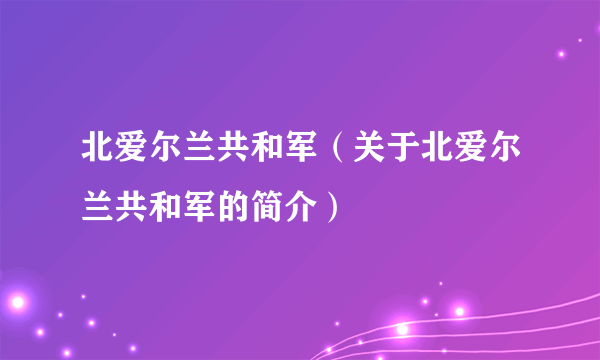 北爱尔兰共和军（关于北爱尔兰共和军的简介）