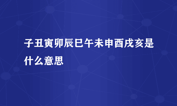 子丑寅卯辰巳午未申酉戌亥是什么意思