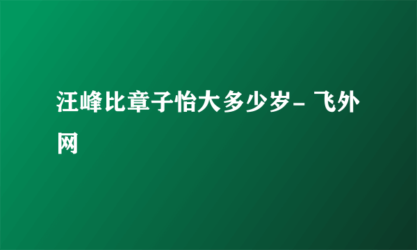 汪峰比章子怡大多少岁- 飞外网