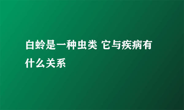 白蛉是一种虫类 它与疾病有什么关系