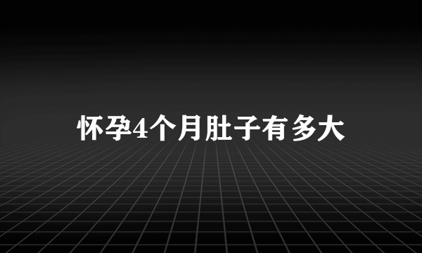 怀孕4个月肚子有多大