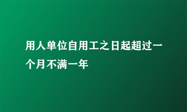 用人单位自用工之日起超过一个月不满一年