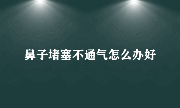 鼻子堵塞不通气怎么办好