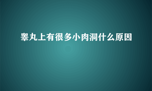 睾丸上有很多小肉洞什么原因