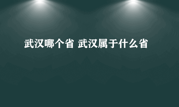 武汉哪个省 武汉属于什么省