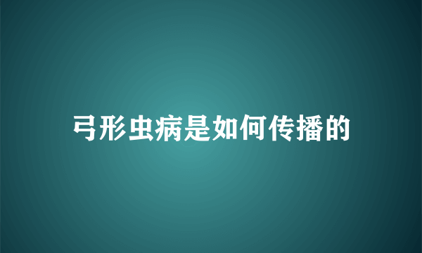 弓形虫病是如何传播的