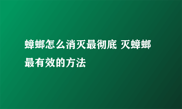 蟑螂怎么消灭最彻底 灭蟑螂最有效的方法